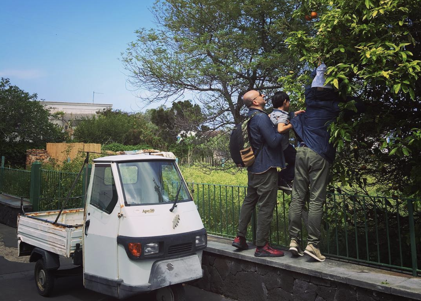 three people standing on a ledge and reaching for oranges in an nearby tree